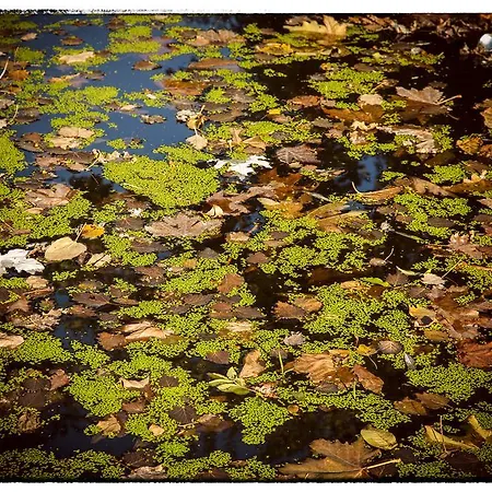 Abadía San Martín 3*