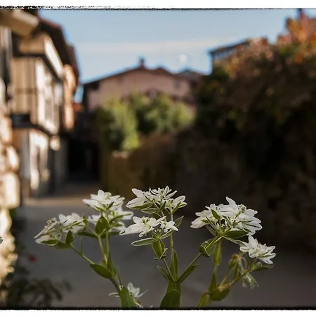 Abadía San Martín Hotel 3*