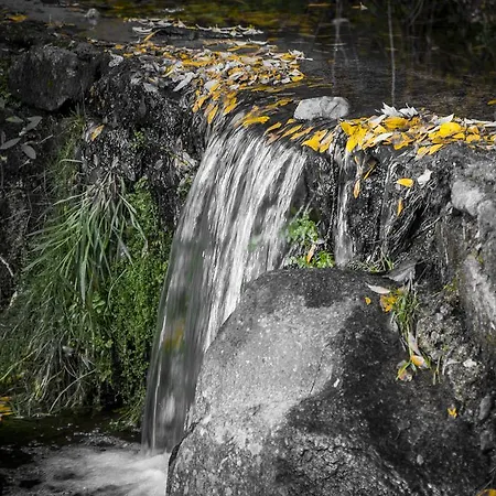 Abadía San Martín 3*