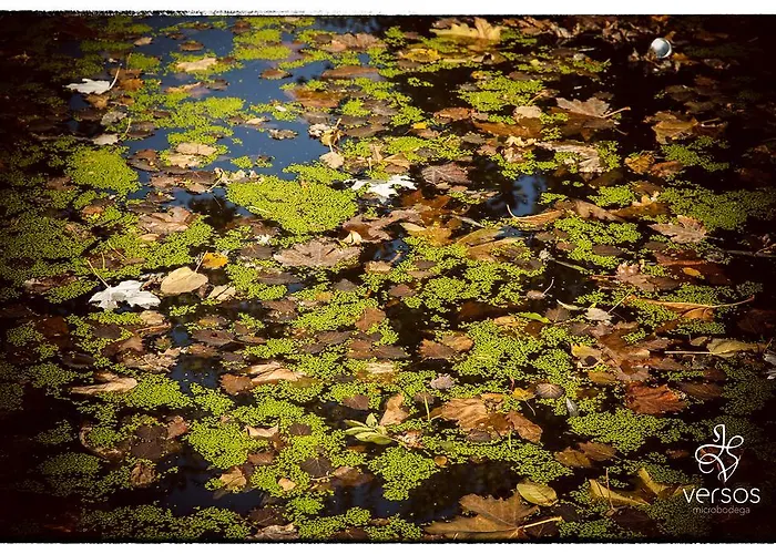 Abadía San Martín 3*