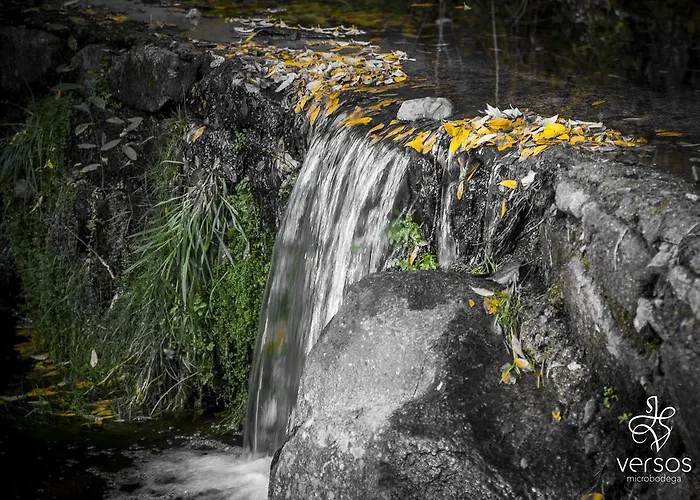 Abadía San Martín 3*