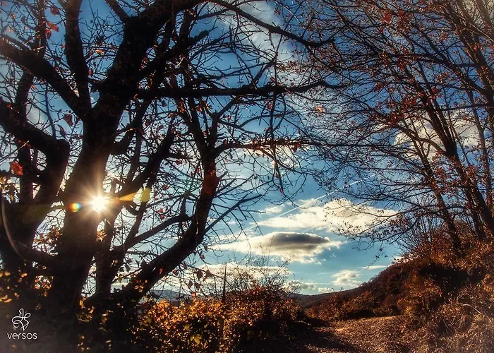 Abadía San Martín 3*